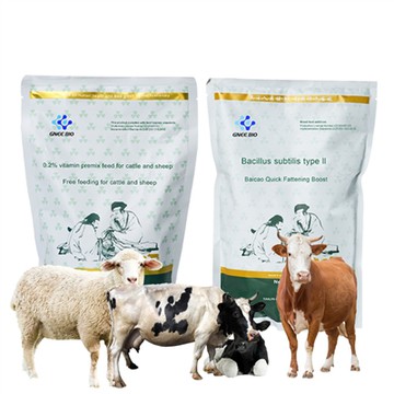 Cea mai bună hrană pentru bovine pentru creșterea în greutate - stimulator de creștere a bovinelo...